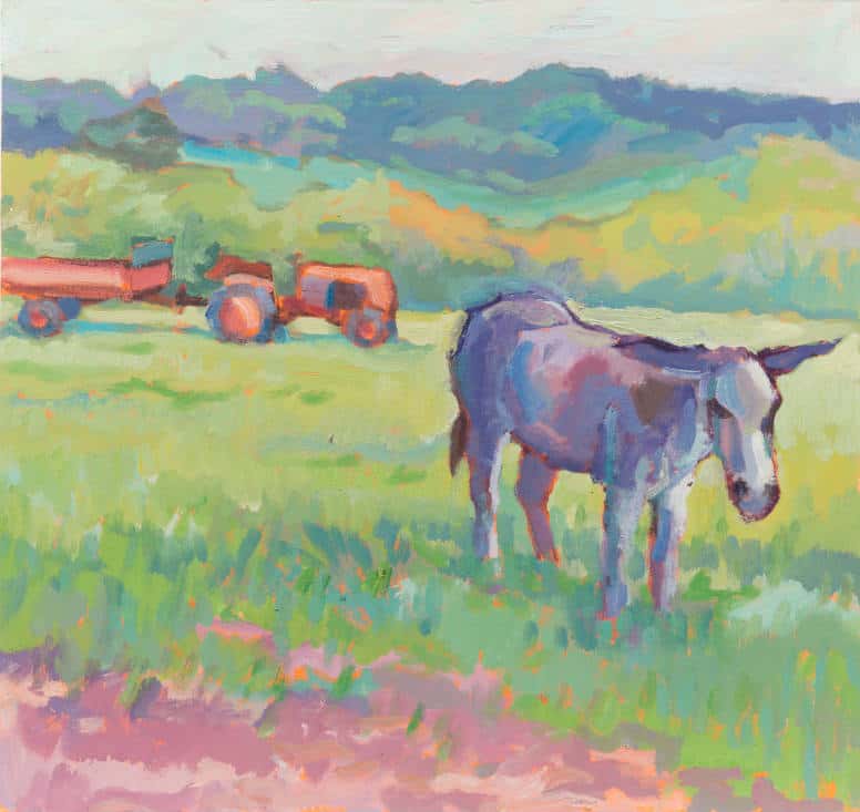 Kay’s Donkey